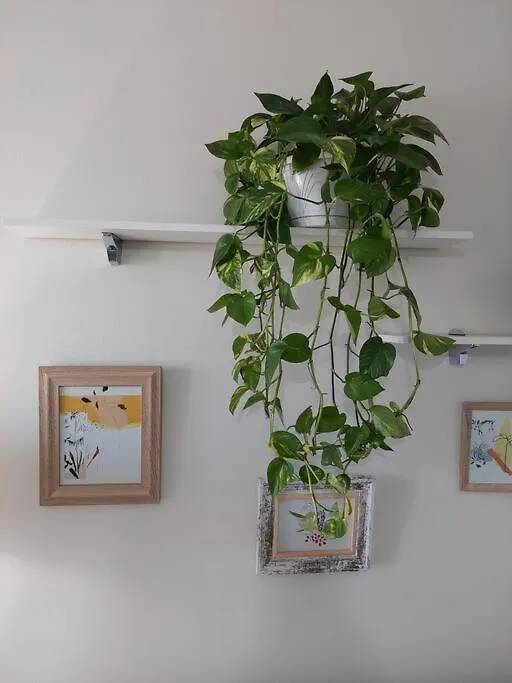 Apartmán The Dekori Flat Shkodër 0*,  Albánie